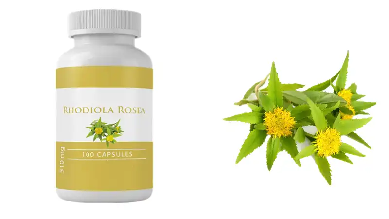 What are the benefits of Rhodiola rosea tablets?
